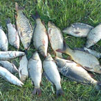 Миколаївські народники провели змагання серед рибалок